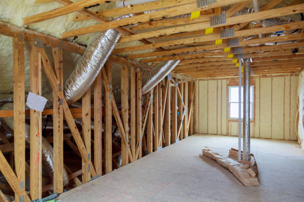 Best Local Insulation Services  in Birch Run, MI
