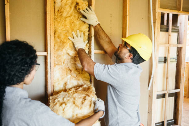 Best Insulation Contractor Near Me  in Birch Run, MI