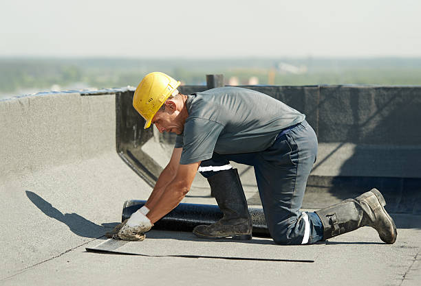 Best Home Insulation Services  in Birch Run, MI