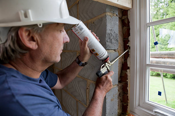 Best Fiberglass Insulation  in Birch Run, MI